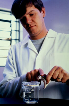 Richard Gama Landgraf, ex-estagiário do Laboratório de Herpetologia do Instituto Butantan fazendo...