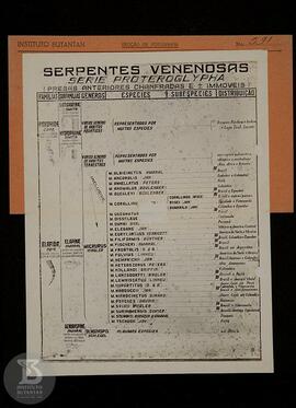 Material didático. " Serpentes venenosas séries proteroglypha", ficha da seção de fotog...