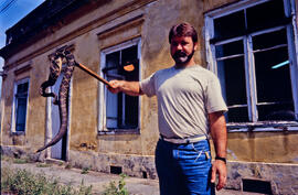 Giuseppe Puorto, Pesquisador Cientifico do Instituto Butantan segurando uma cascavel, Crotalus du...