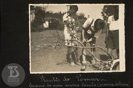 Alunos em atividade em Plantio do Pomar: exame de uma árvore doente (procura de broca)