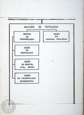 Organograma "Divisão de Patologia"
