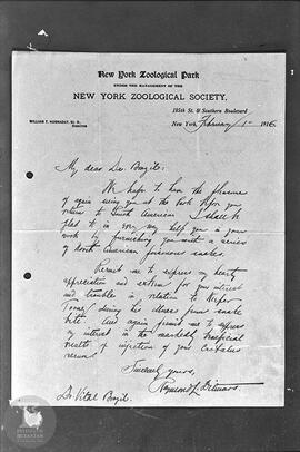 Reprodução de carta enviada à Vital Brazil pelo Dr. William T. Hornaday, diretor do Parque zoológ...