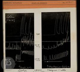 reprodução de gráfico. Ficha da Seção de fotografia nº 465, solicitado pela Seção de Fisiologia (...