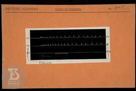 Reprodução de gráfico. Ficha da Seção de fotografia nº 345, solicitado pela Seção de Fisiologia (...