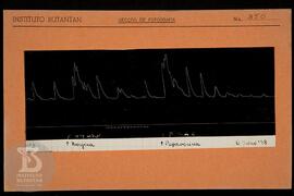 Reprodução de gráfico. Ficha da Seção de fotografia nº 350, solicitado pela Seção de Fisiologia (...