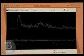 Reprodução de gráfico. Ficha da Seção de fotografia nº 330, solicitado pela Seção de Fisiologia (...