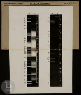 Gráfico sem legenda, Ficha da Seção de fotografia  nº 1158, Solicitação da Seção de águas minerai...
