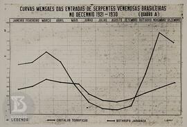 Gráfico  "Curvas mensaes das entradas de serpentes venenosas brasileiras - decêncio 1921-193...