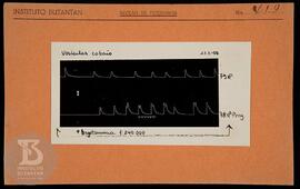 Reprodução de gráfico "Vesículas Cobaio 12/08/1938". Ficha da Seção de fotografia nº 41...