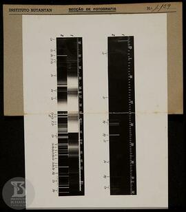 Gráfico sem legenda. Ficha da Seção de fotografia nº 1159, solicitação da Seção de águas minerais...