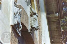 Ornamento da fachada do edifício Cara de Cavalo