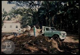 Horto Oswaldo Cruz. Funcionários trabalhando na recuperação ambiental.