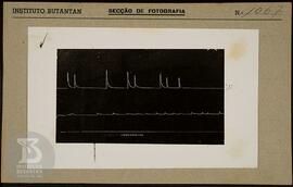 Reprodução de gráfico. Ficha da Seção de fotografia nº 1067, solicitado pela Seção  de Fisiologia...