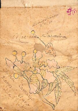 Amostras de sementes de [paineira] em envelope com desenho de flores.   Olivia Camargo, de 12 ano...