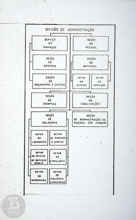 Organograma " Divisão de Administração"