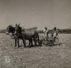 vista de homens em charrete, na imagem estão "Tião e Antônio Maria"