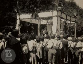 Festa das árvores