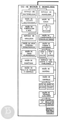Organograma "Div. de micro e Imunobiologia"