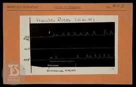 Reprodução de gráfico "vesícula ratos 15/07/1938". Ficha da Seção de fotografia nº 432....
