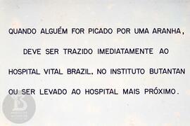 Material didático sobre aranhas. Reprodução de texto  sobre o que fazer em caso de picada de aranha