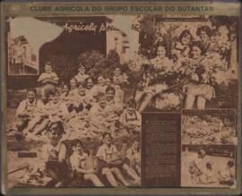 Cartaz Clube Agrícola do Grupo Escolar do Butantan 01
