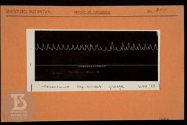 Reprodução de gráfico "automatismo de. Rhesus c/ carga". Ficha da Seção de fotografia n...