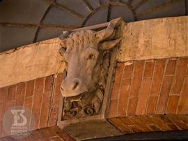 Ornamento da fachada do Edifício Cara de Cavalo