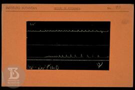 Reprodução de gráfico. Ficha da Seção de fotografia nº 90, solicitado pela Seção de Fisiologia (D...