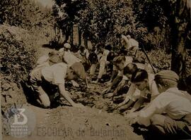 Os alunos do Clube Agrícola nos trabalhos de horticultura