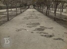 Fotografia de alameda mostrando buracos no asfalto. Cópia da Ficha  da seção de fotografia nº 849...