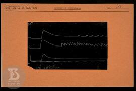 Reprodução de gráfico. Ficha da Seção de fotografia nº 83, solicitado pela Seção de Fisiologia (D...