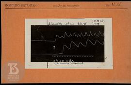 Reprodução de gráfico "Defer. Cobaio 07/07/1938". Ficha da Seção de fotografia nº 418. ...