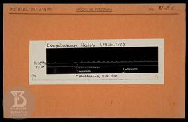 Reprodução de gráfico "coaguladoras ratos". Ficha da Seção de fotografia nº 428. solici...