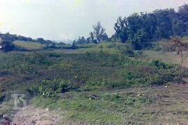 Construção do Parque de Saúde Pública do Instituto Butantan. [Vista de vegetação próxima à área d...