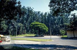 Estacionamento próximo ao restaurante