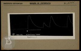 Reprodução de Gráfico. Ficha da Seção de fotografia nº 1176, solicitado pela Seção de Fisiopatolo...