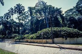 Rua da entrada principal, dentro do Instituto Butantan, a partir do Portão da Avenida Vital Brazil