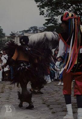 Apresentação de Bumba meu boi, com o Grupo Cupuaçu Danças Brasileiras realizada ao lado do Museu ...