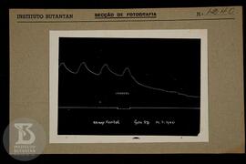 reprodução de gráfico. Ficha da seção de fotografia nº 1240, solicitado pela Seção de Fisiologia ...