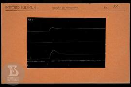 Reprodução de gráfico. Ficha da Seção de fotografia nº 81, solicitado pela Seção de Fisiologia (D...