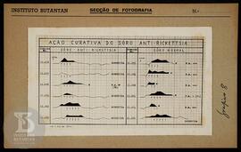 Reprodução de gráfico sobre ação curativa do soro anti-rickettsia, gráfico nº 8. Ficha da Seção d...