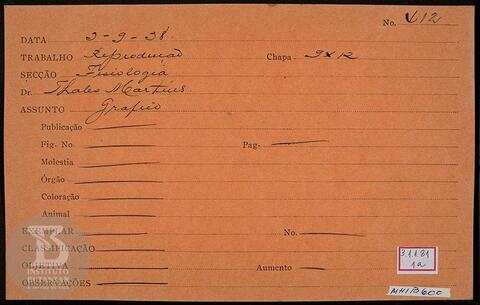 Original Digital object not accessible