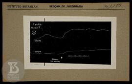 Reprodução de Gráfico. Ficha da Seção de fotografia nº 1179, solicitado pela Seção de Fisiopatolo...