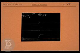 Reprodução de gráfico. Ficha da Seção de fotografia nº 80, solicitado pela Seção de Fisiologia (D...