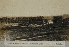 Instituto Butantan 3. Horto Oswaldo Cruz: Pavilhão para sementes e Estufa.