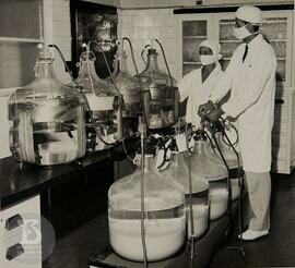 Interior de laboratório, preparação de soro antiofídico.