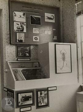 Museu Biológico localizado no Pavilhão Lemos Monteiro. Vista de Expografia “obtenção de soro anti...