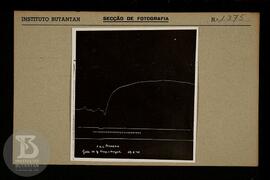 Reprodução de gráfico. Ficha da Seção de fotografia nº 1375. Ficha sem preenchimento, frente