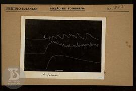 Reprodução de gráfico. Ficha da Seção de fotografia nº 993, solicitado pela Seção Fisiopatologia ...