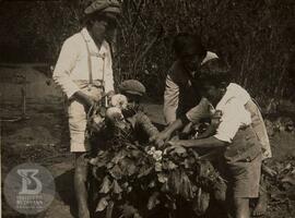 Alunos do Grupo Escolar Butantan trabalhando na Horta